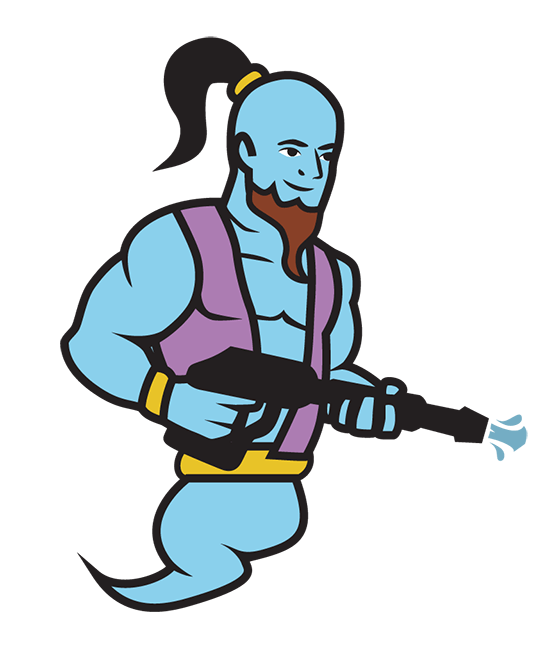 pressure washing genies